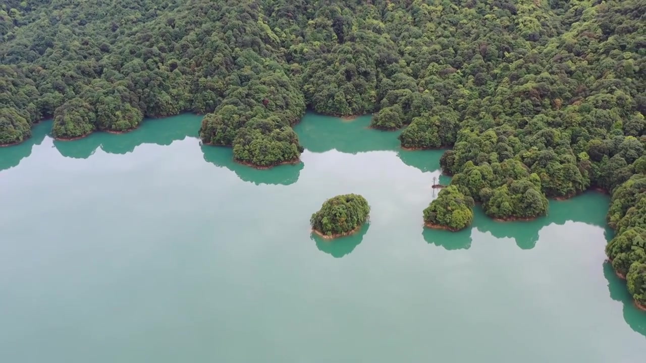 从化陈禾洞水库视频下载