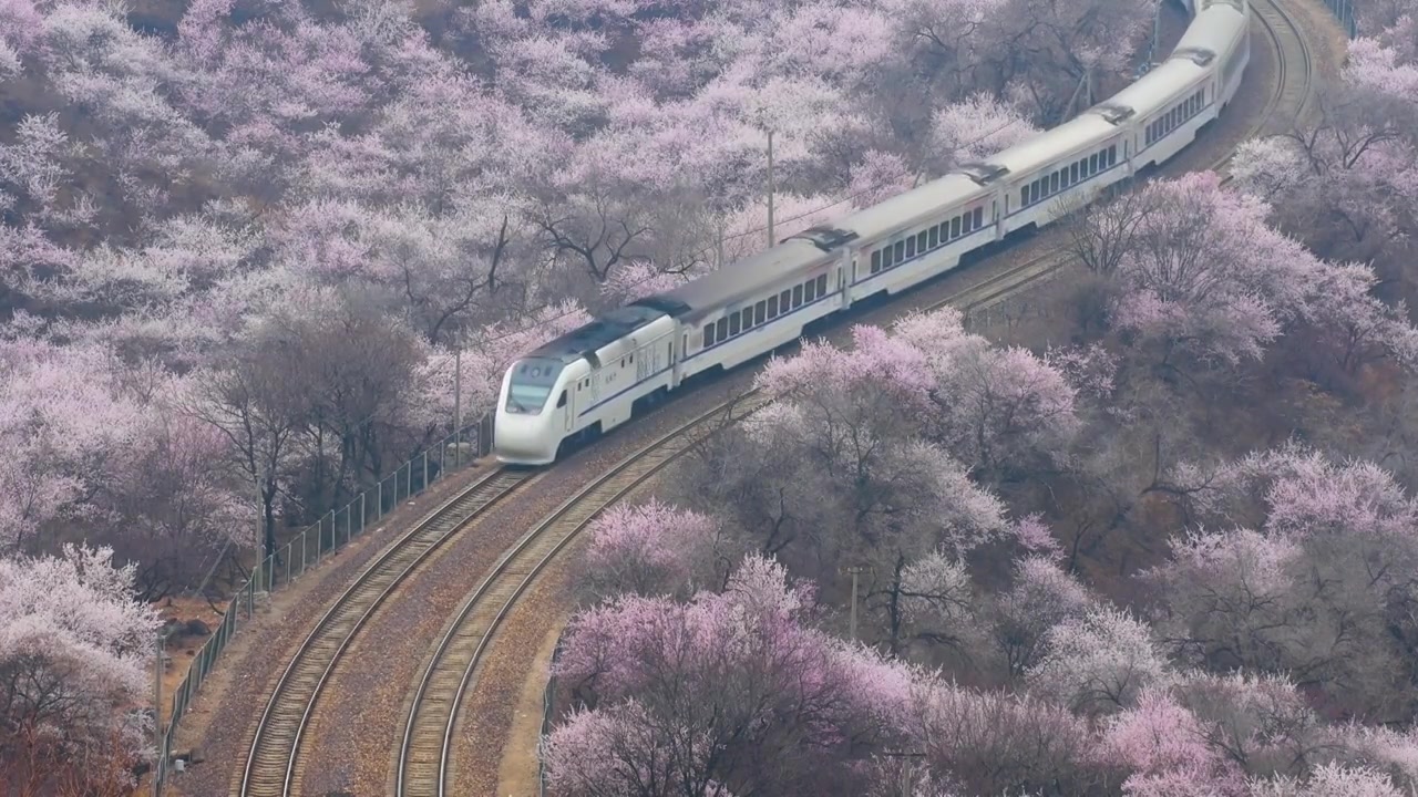 中国北京居庸关长城花海列车，开往春天的列车视频素材