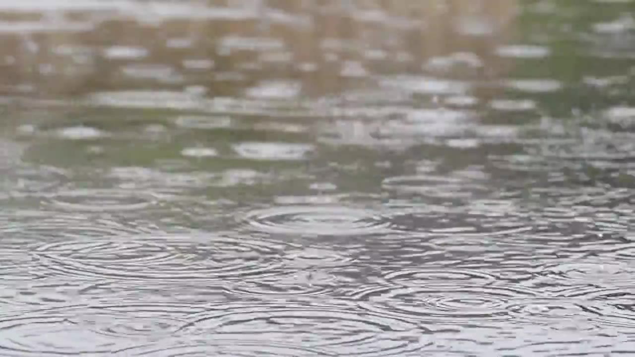 雨天视频下载