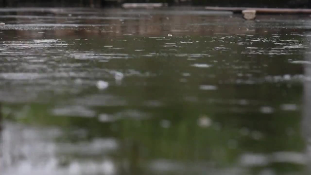 雨天视频下载