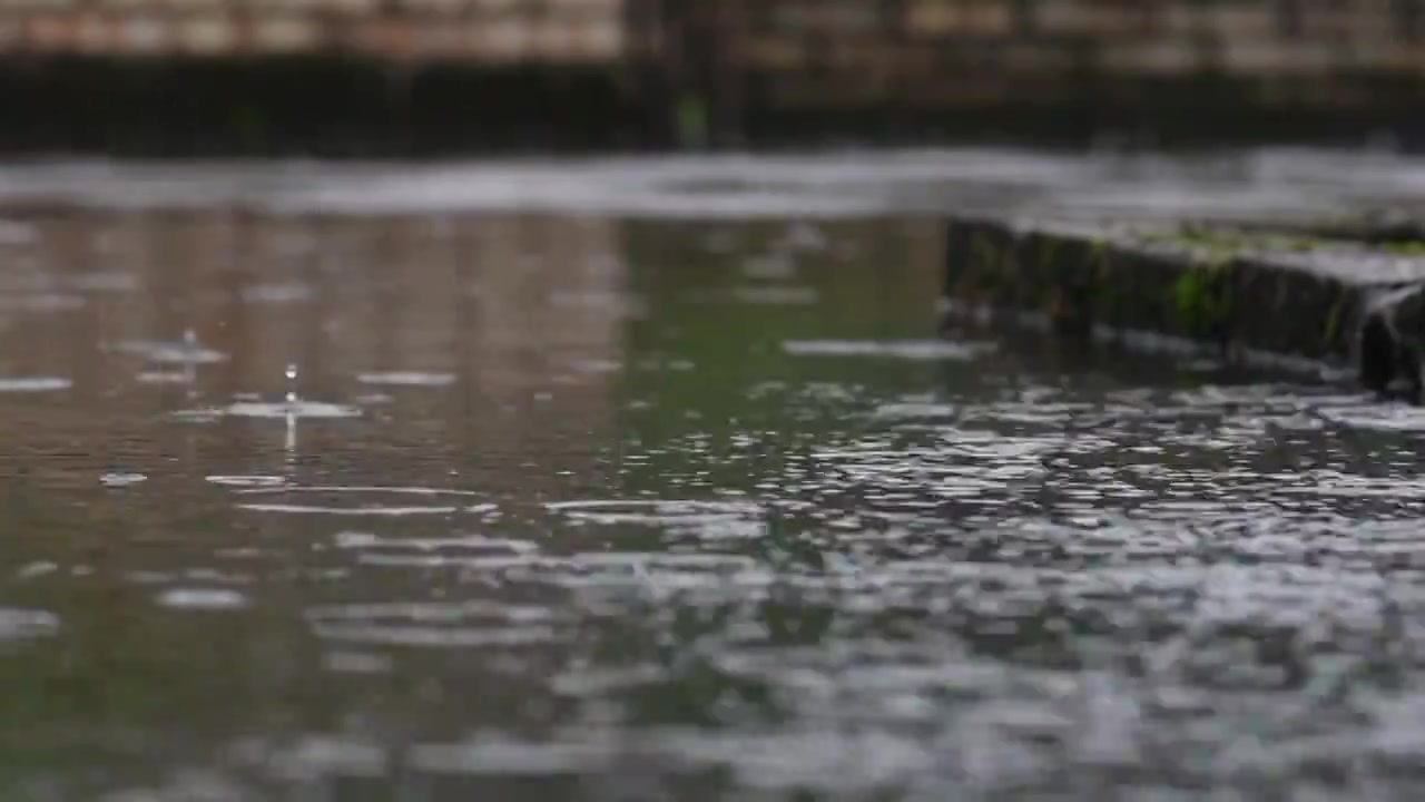 雨天视频下载