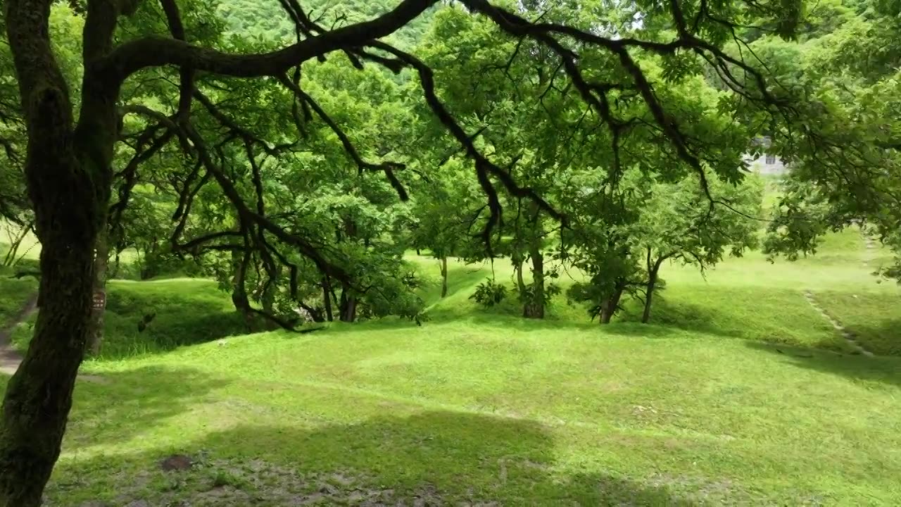 深山湿地生态美景：湖北建始县花坪镇杨树坪湿地草原风景如画视频素材