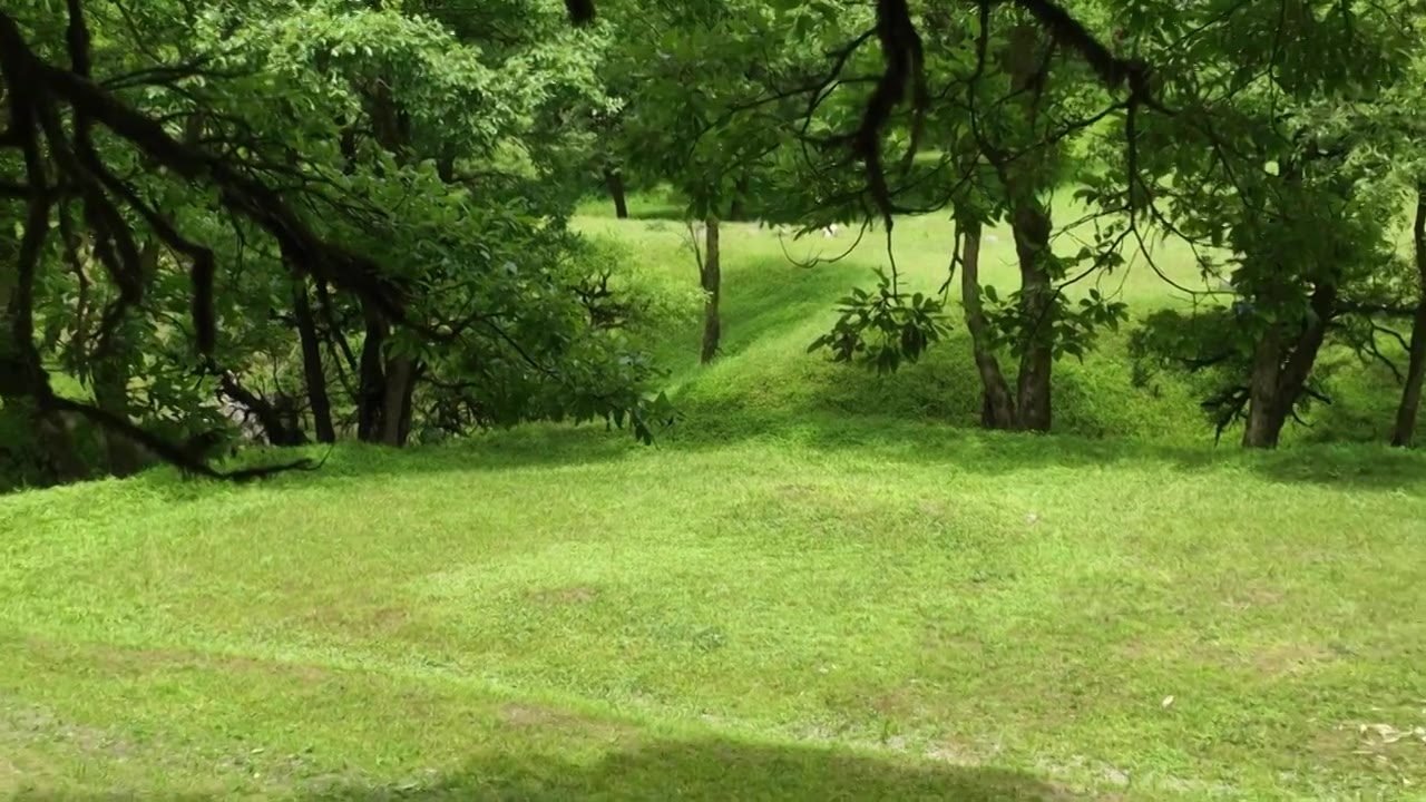 深山湿地生态美景：湖北建始县花坪镇杨树坪湿地草原风景如画视频素材