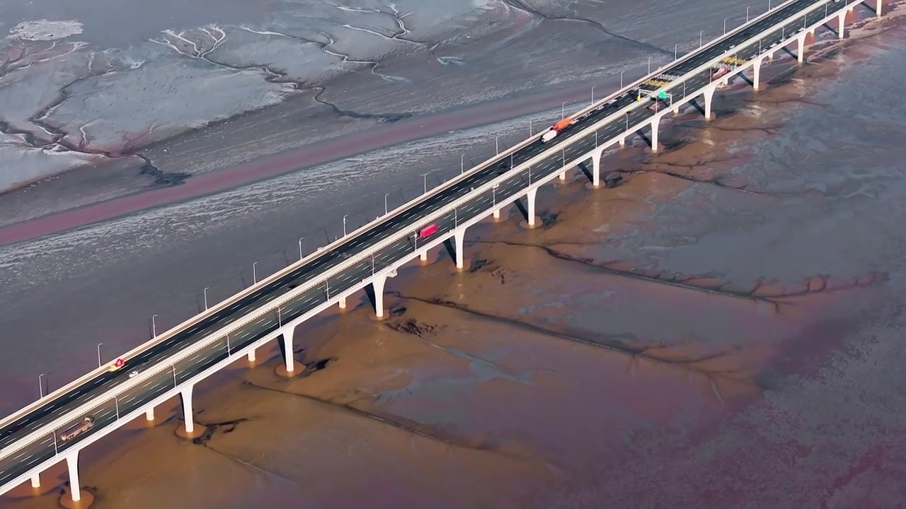 浙江海宁嘉绍大桥潮汐树日出航拍视频视频素材