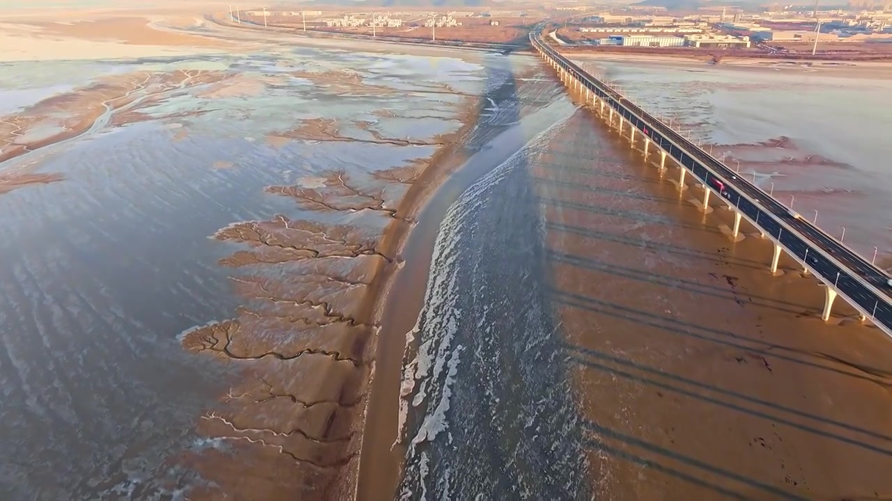 浙江海宁嘉绍大桥潮汐树日出航拍视频视频素材