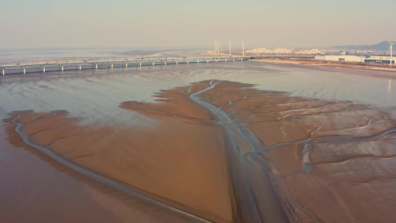 浙江海宁嘉绍大桥潮汐树日出航拍视频视频素材