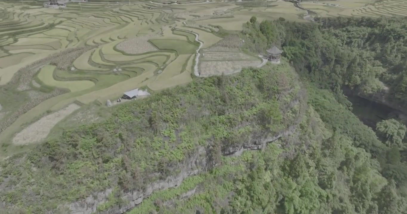 航拍贵州黔南贵定腊利村的稻田景色视频素材