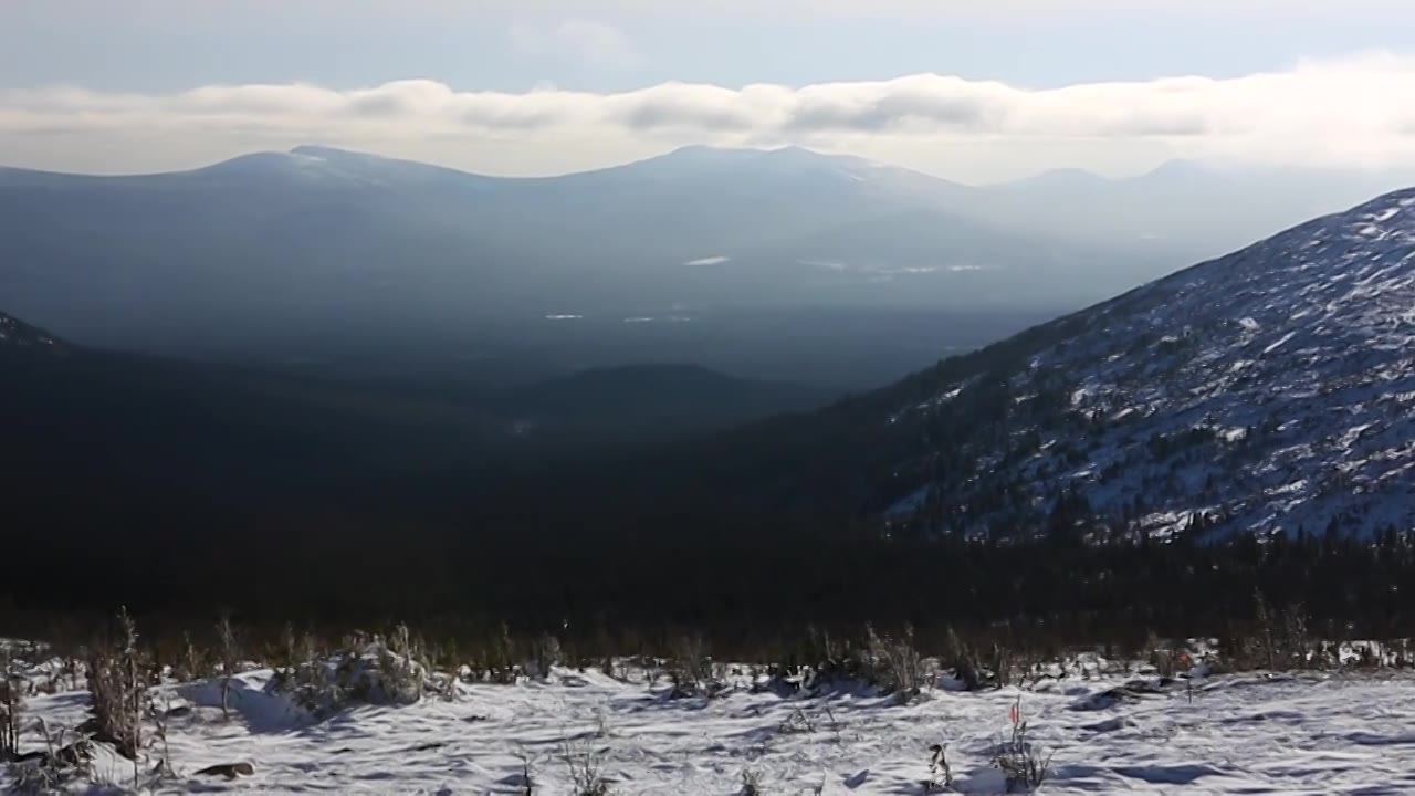 冬天的森林在山上。视频。树上有雪。圣诞景观视频素材