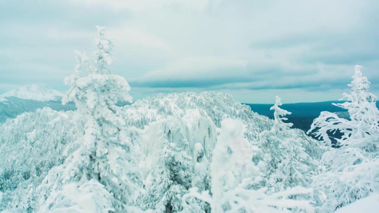 滑雪胜地的雪山山峰和树木。视频。树枝的顶部视频素材