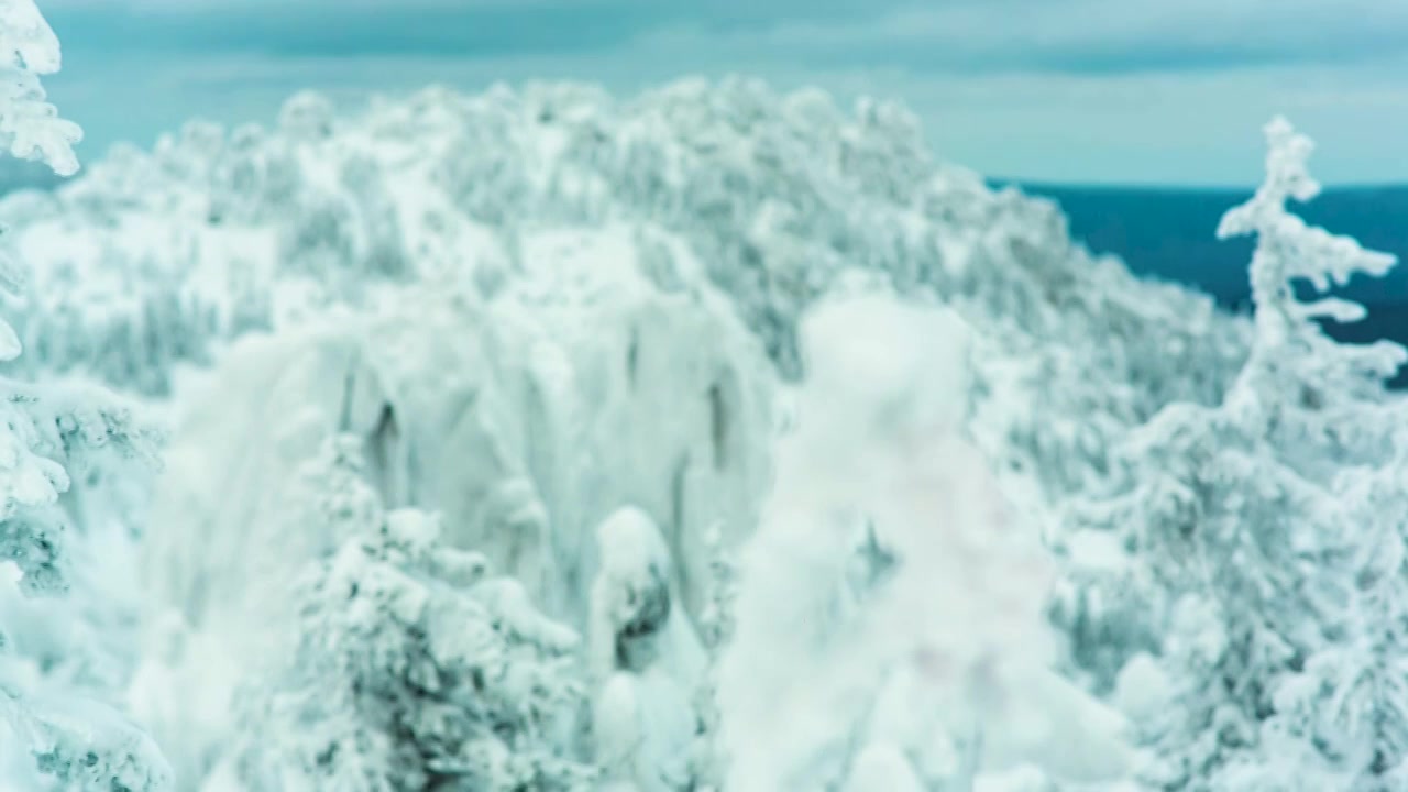 滑雪胜地的雪山山峰和树木。视频。树枝的顶部视频素材