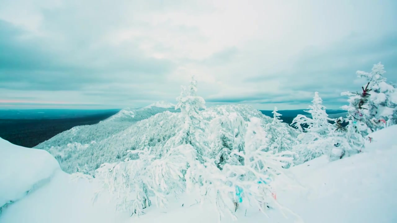 滑雪胜地的雪山山峰和树木。视频。树枝的顶部视频素材