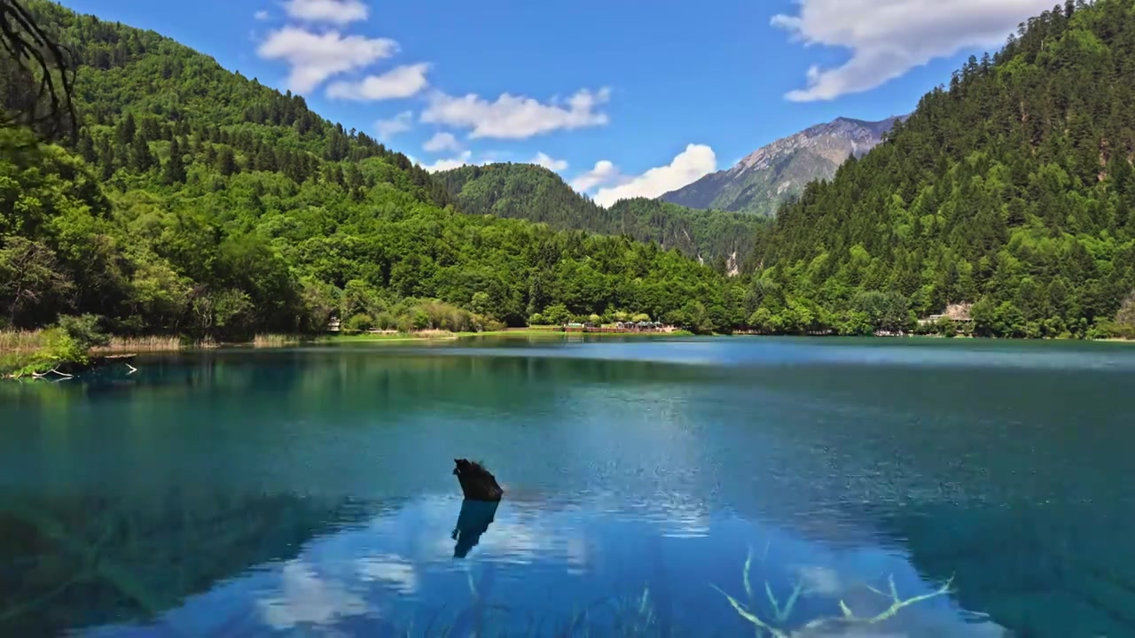 中国 川西 九寨沟 高原  森林   湖泊 蓝天  白云 童话世界 人间仙景 风景 延时摄影视频素材