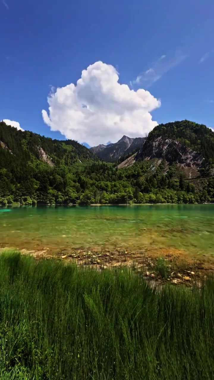 中国 川西 九寨沟 高原  森林   湖泊 蓝天  白云 童话世界 人间仙景 风景 延时摄影视频素材