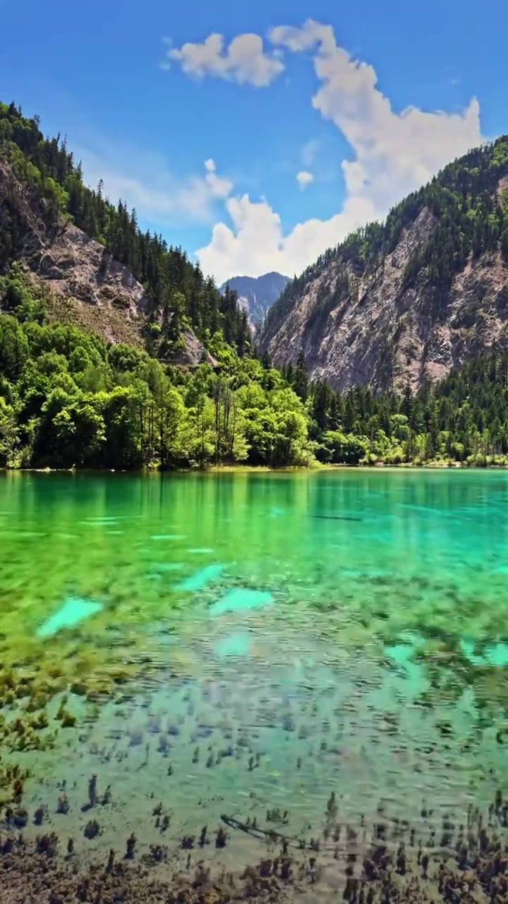 中国 川西 九寨沟 高原  森林   湖泊 蓝天  白云 童话世界 人间仙景 风景 延时摄影视频素材