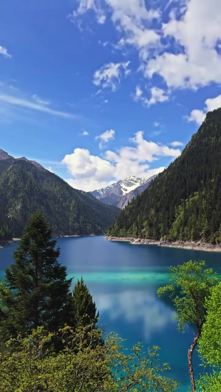 中国 川西 九寨沟 高原  雪山  森林   湖泊 蓝天  白云 童话世界 人间仙景 风景 延时摄影视频素材