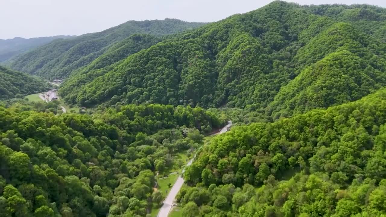 牧场 宝鸡市陈仓区大水川国际旅游度假区视频素材