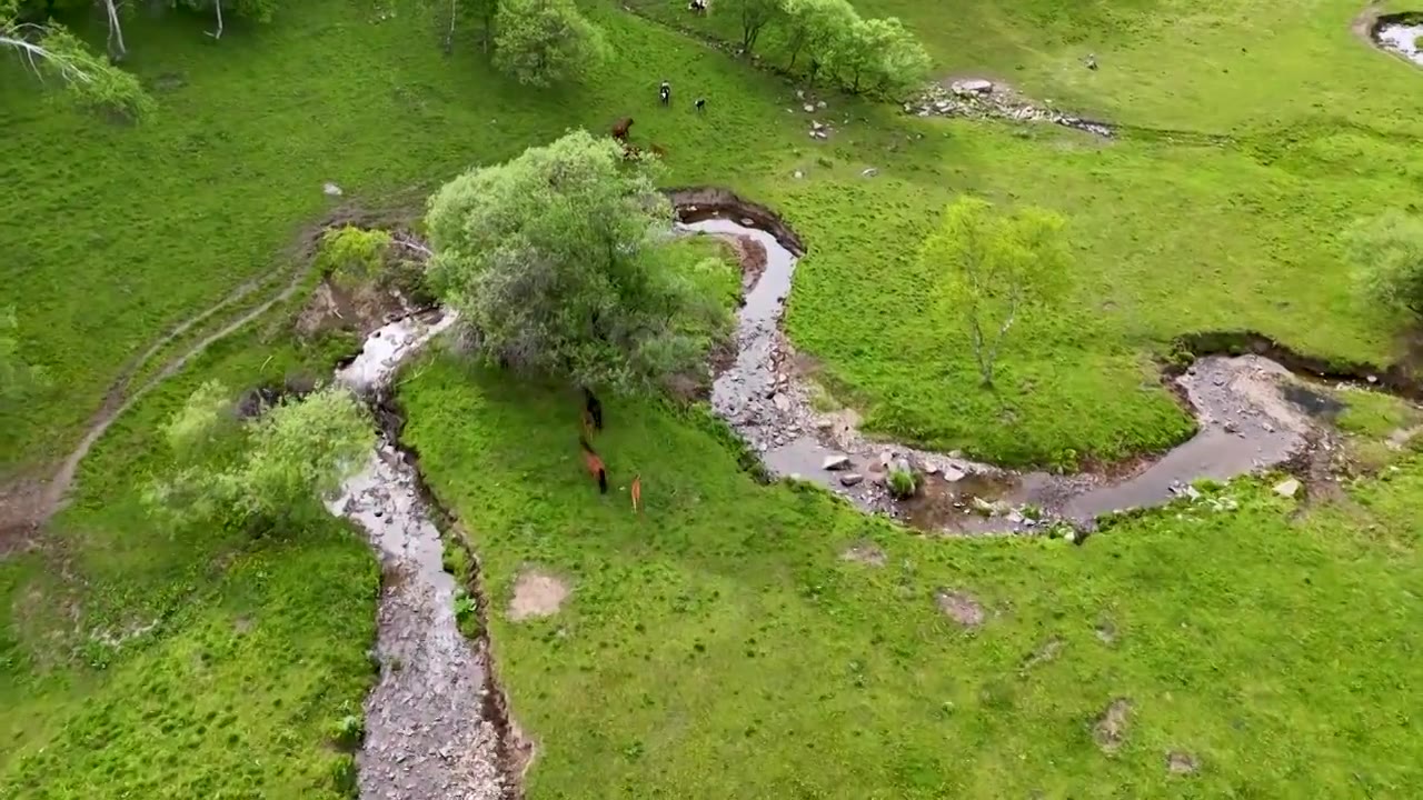 牧场 宝鸡市陈仓区大水川国际旅游度假区视频下载