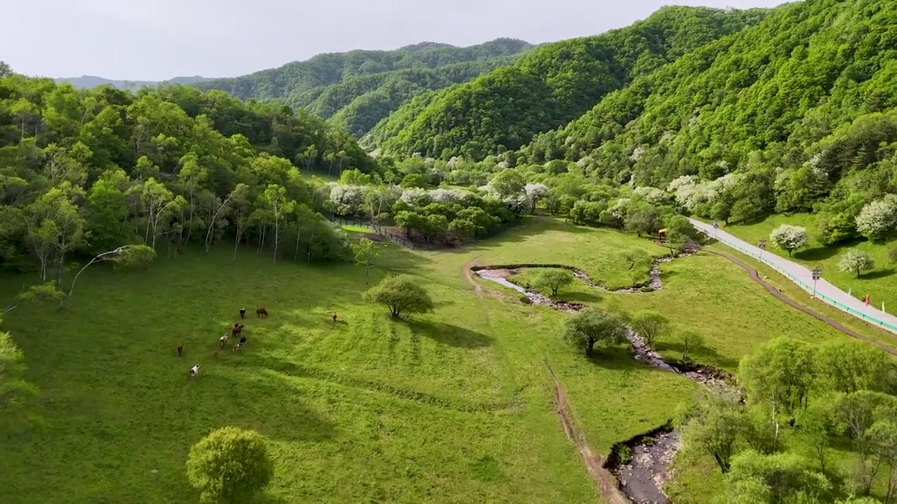 牧场 宝鸡市陈仓区大水川国际旅游度假区视频下载