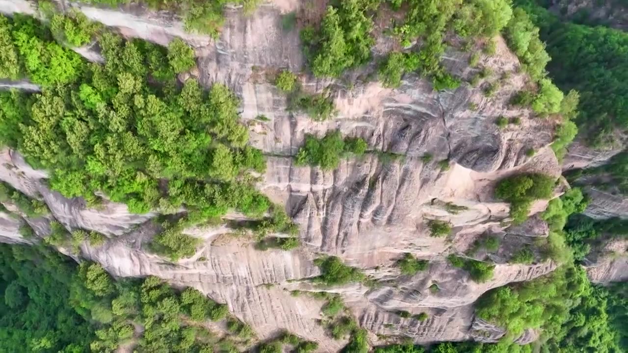 高山视频下载