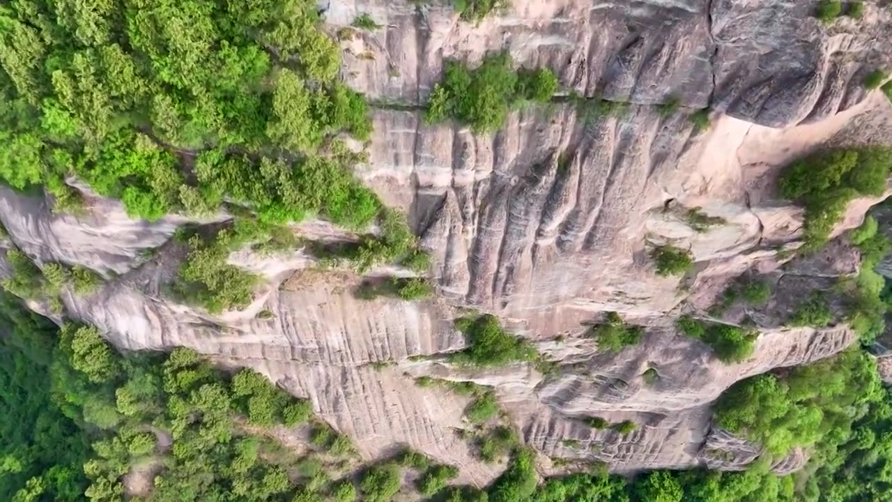 高山视频下载