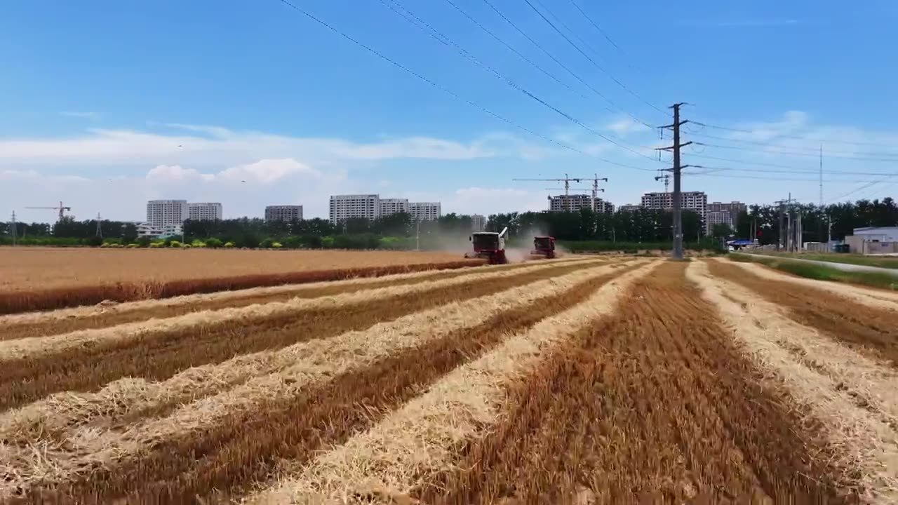 麦收视频素材