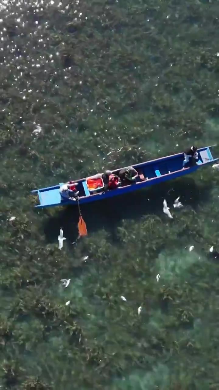 泸沽湖猪槽船视频下载