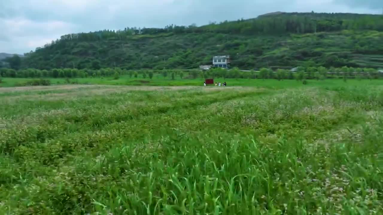 威宁县草海县城风光威宁草海荞花盛开彩虹丁达尔光视频素材