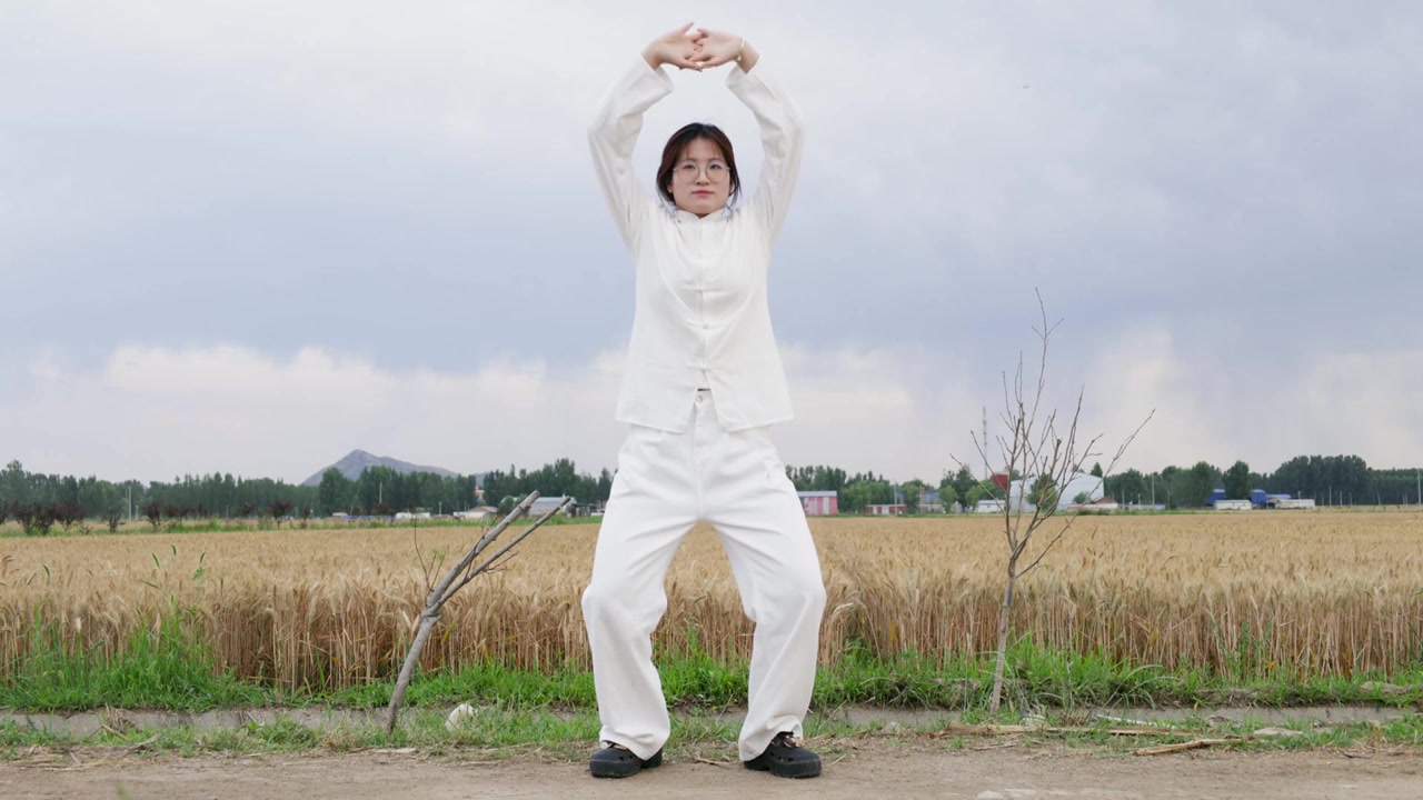 穿着练功服麦田中做太极八段锦动作的年轻女性视频素材