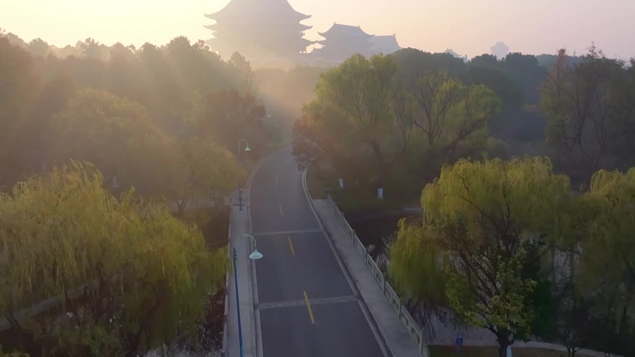 (合集)苏州工业园区阳澄湖半岛旅游度假区秋天清晨雾自然风景，水泽路，重元寺耶稣光风景航拍视频下载