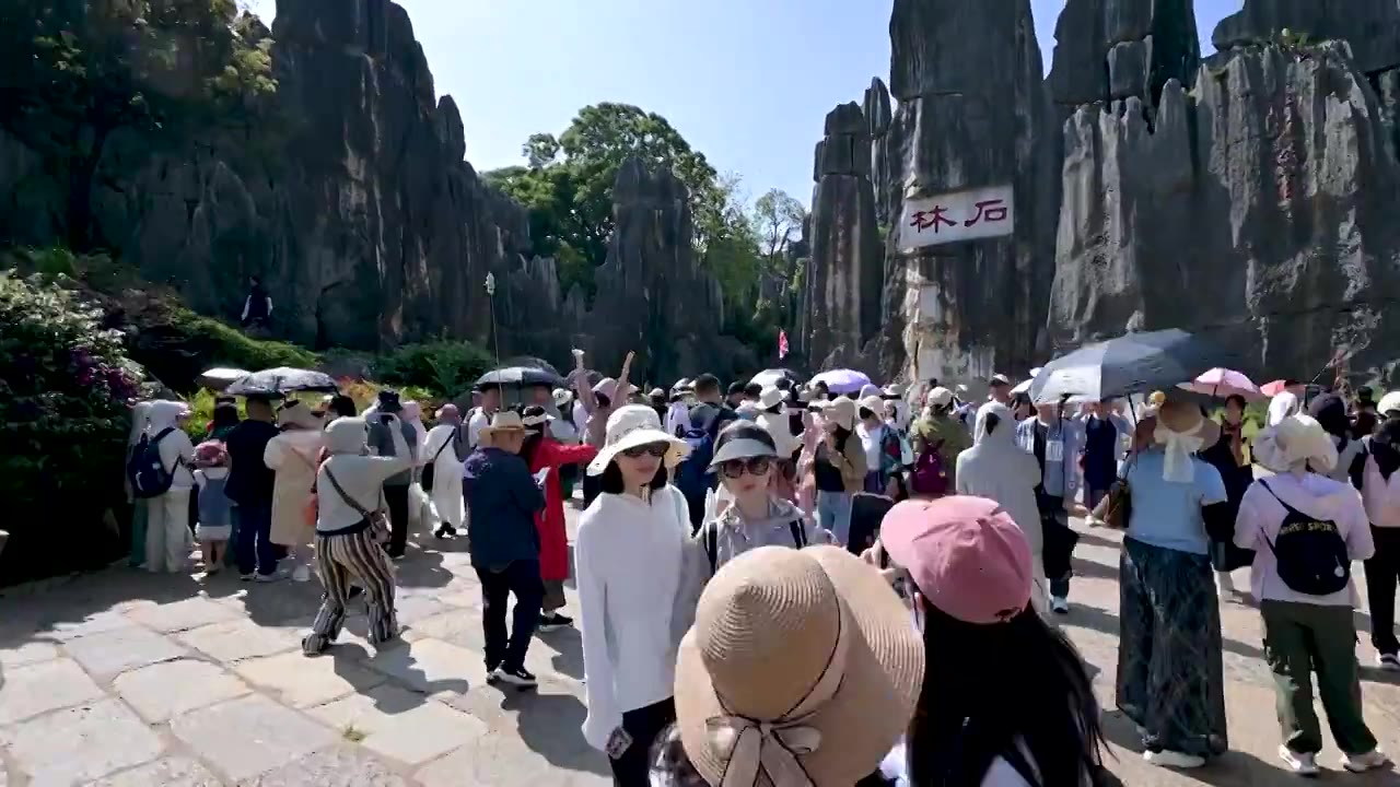 云南  石林风景区   世界自然遗产   世界地质公园   喀斯特地貌   自然景观视频素材