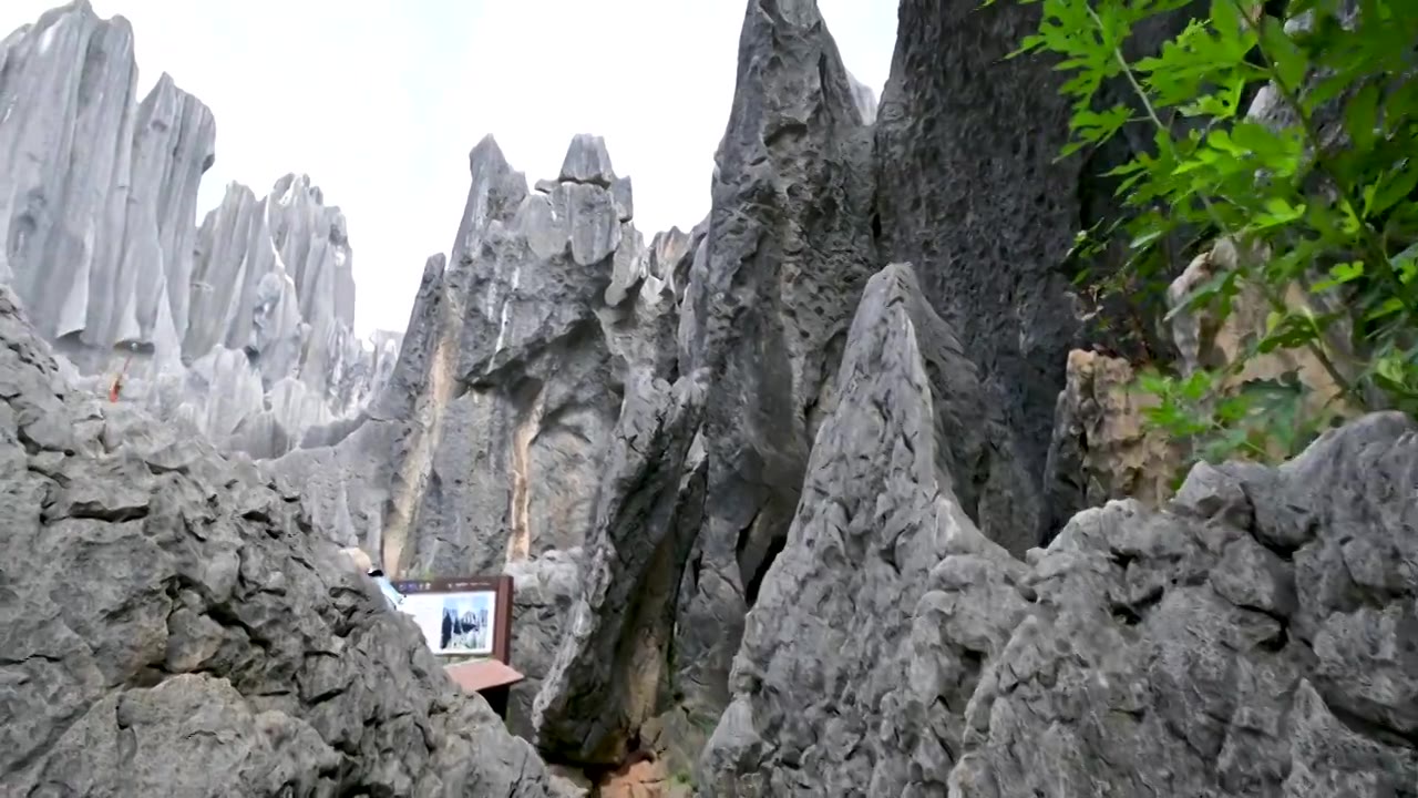 云南  石林风景区   世界自然遗产   世界地质公园   喀斯特地貌   自然景观视频素材