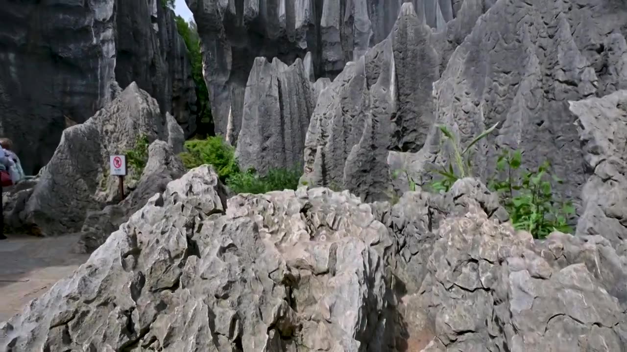 云南  石林风景区   世界自然遗产   世界地质公园   喀斯特地貌   自然景观视频素材