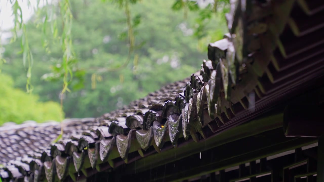 梅雨季节的苏州园林拙政园，雨中园林建筑中式房屋屋檐，一串串水珠滴下视频素材