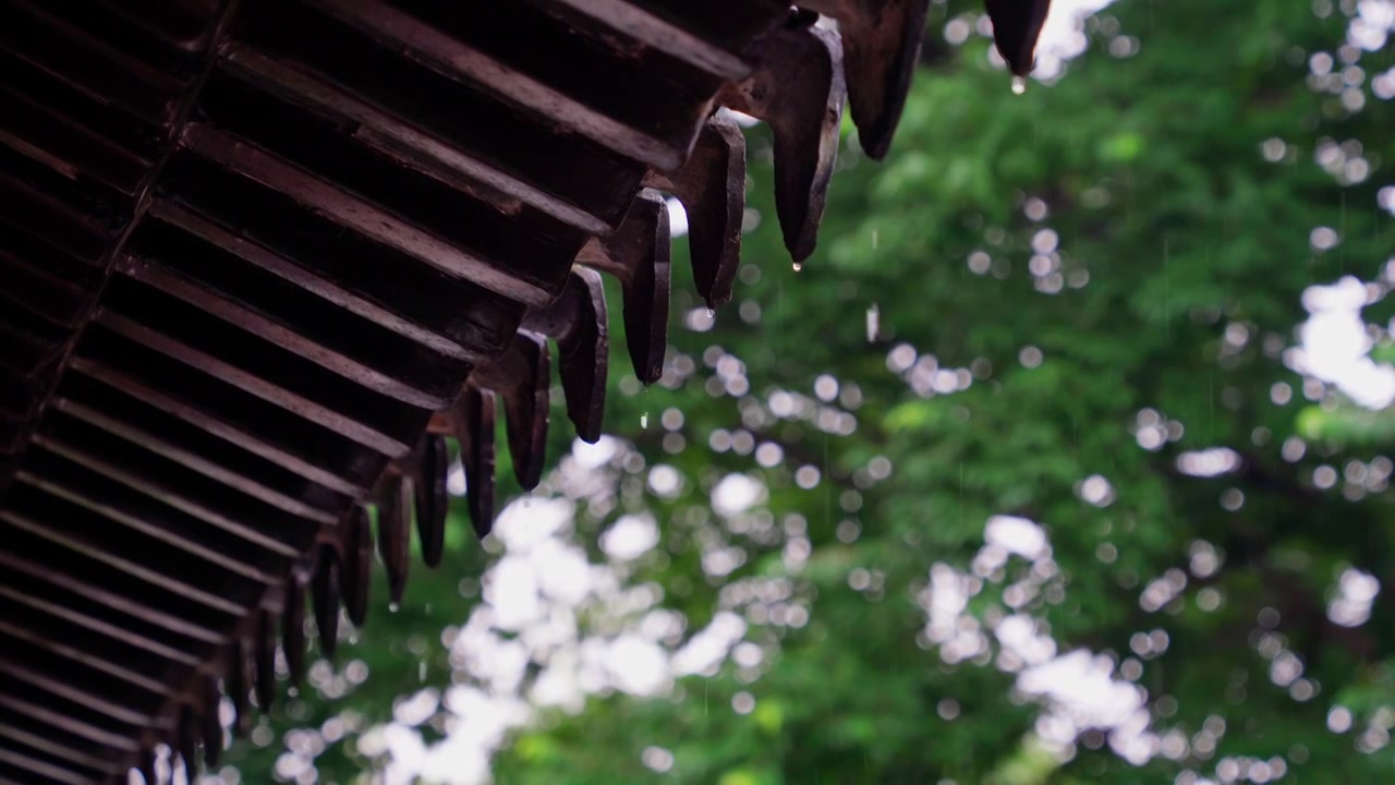 梅雨季节的苏州园林拙政园，雨中园林建筑中式房屋屋檐，一串串水珠滴下视频素材