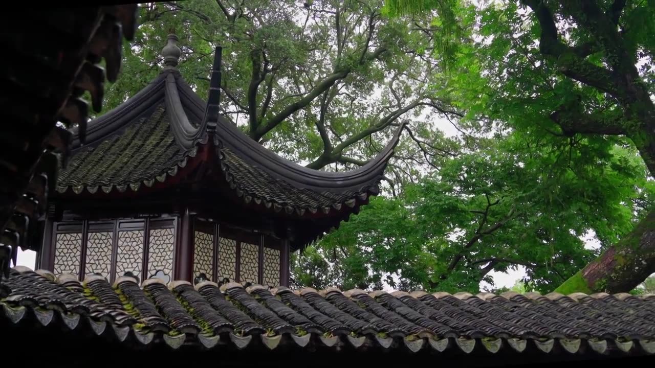 梅雨季节的苏州园林拙政园，雨中的宜两亭视频素材