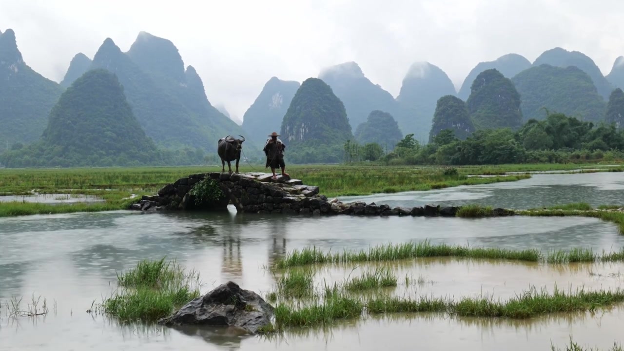 广西桂林山水老汉放牛劳作视频素材