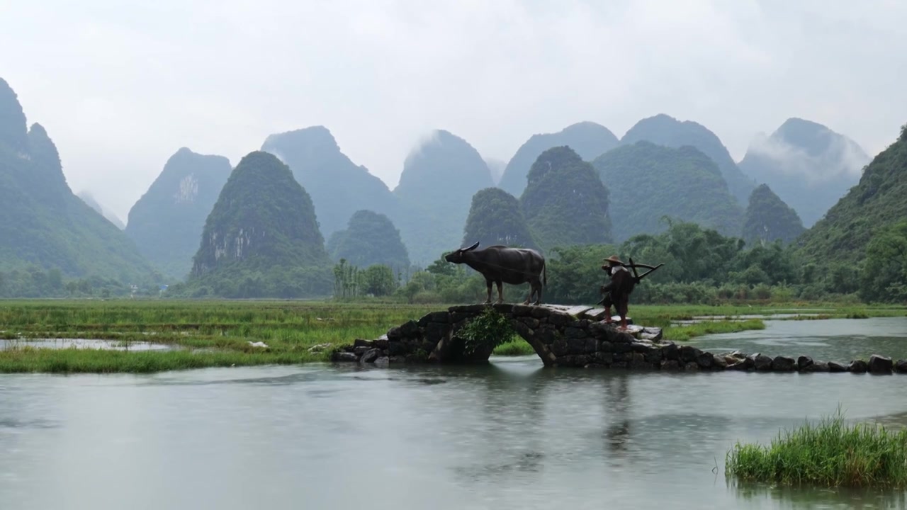 广西桂林山水老汉放牛劳作视频素材