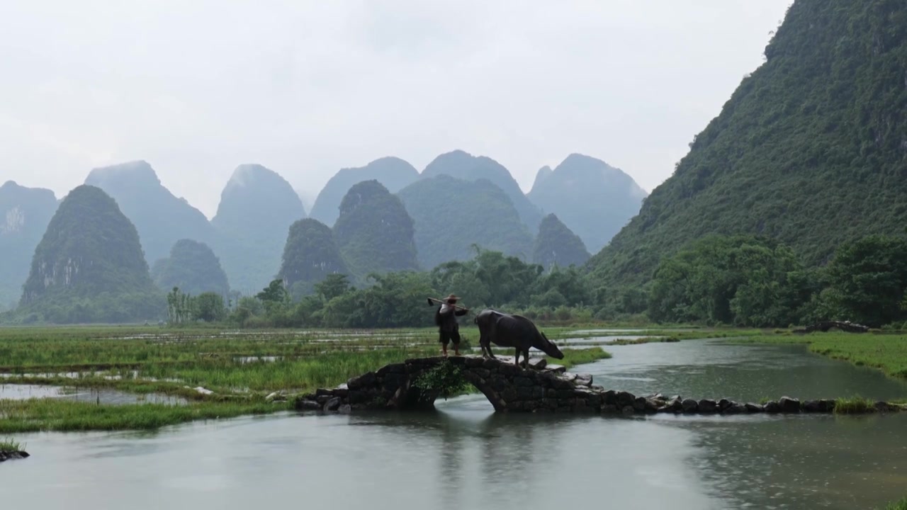 广西桂林山水老汉放牛劳作视频素材