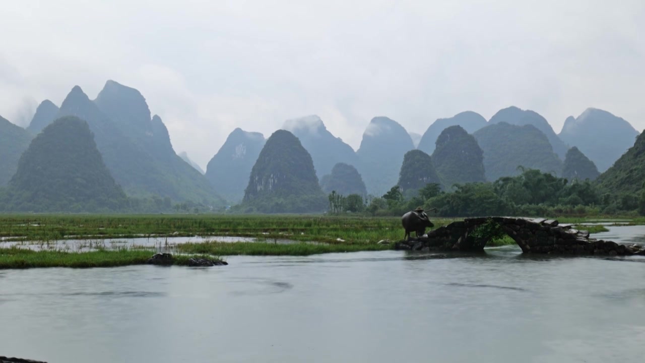 广西桂林山水老汉放牛劳作视频素材