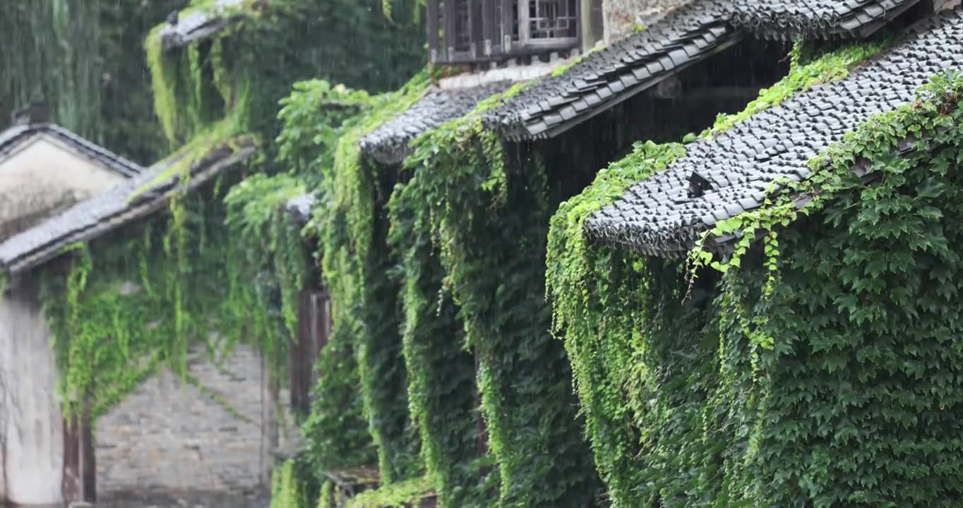 （慢镜）江南古镇大雨烟雨江南视频素材