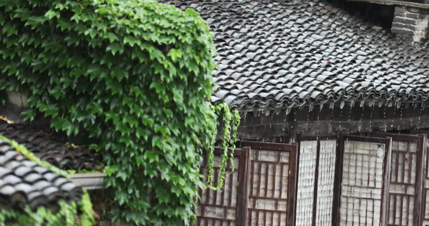 （慢镜）江南古镇大雨烟雨江南视频素材