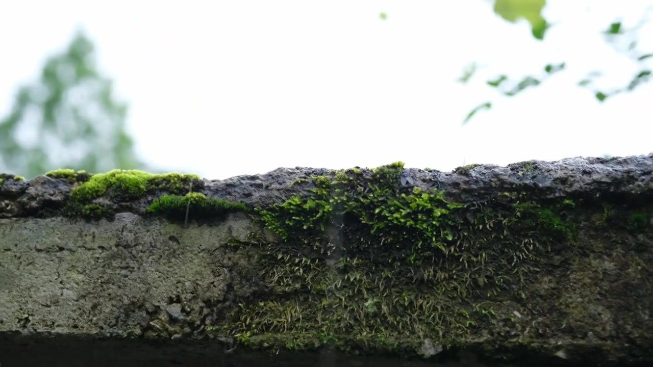 山里农村雨景视频下载