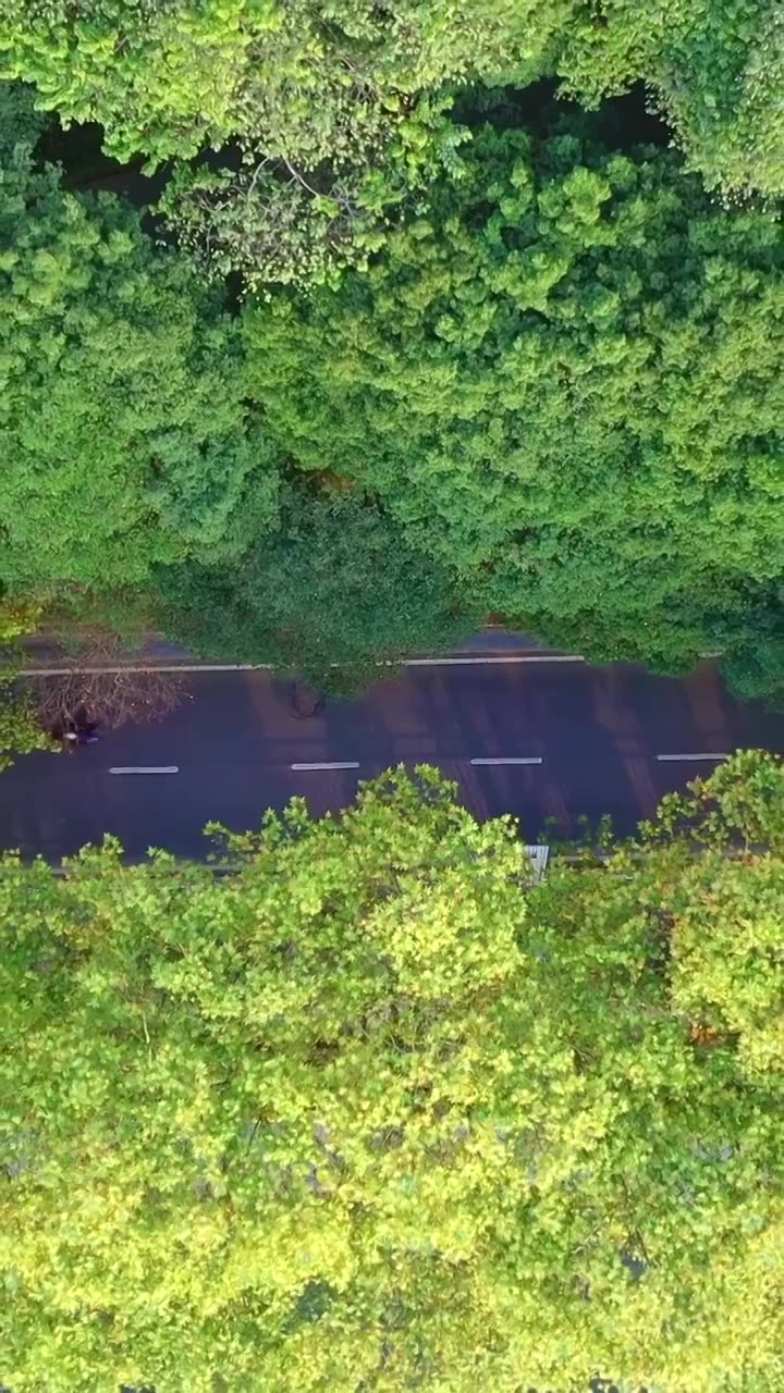 贵州遵义市凤凰山秋季航拍风光视频素材