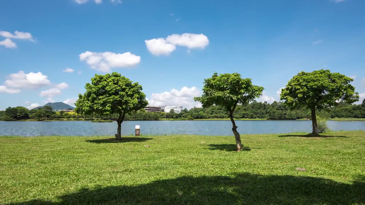 4k东莞松湖烟雨景区风光延时视频视频素材