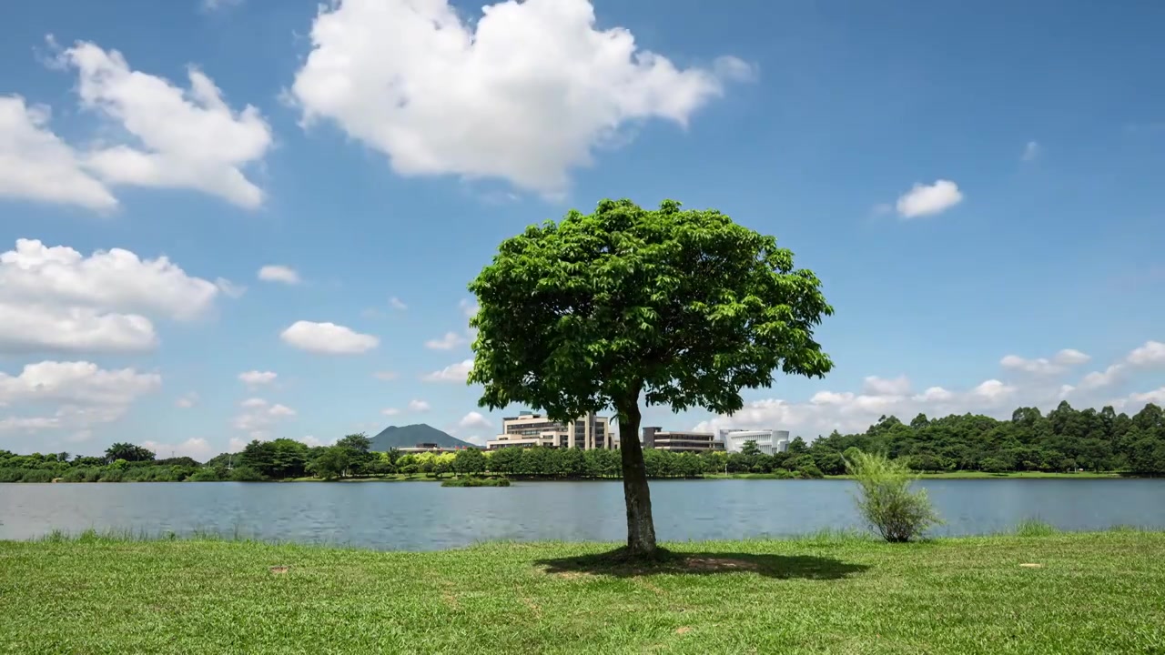 4k东莞松湖烟雨景区风光延时视频视频素材