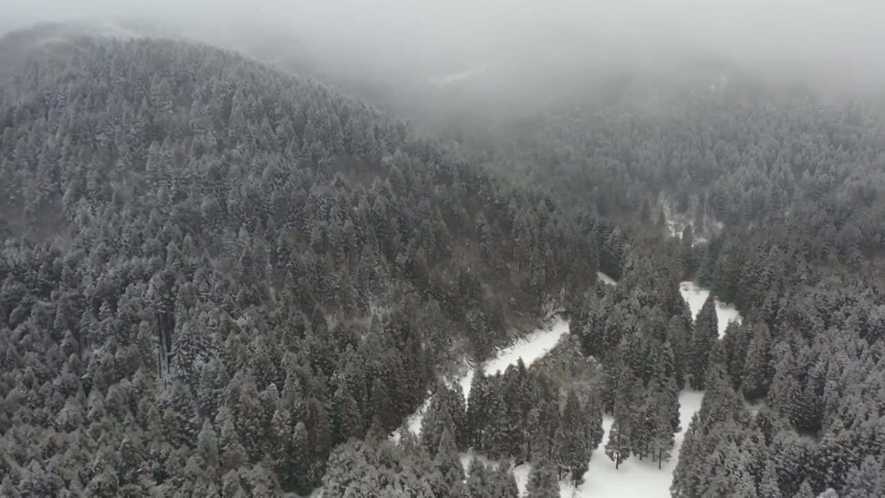 大雪中的武陵山森林公园视频下载