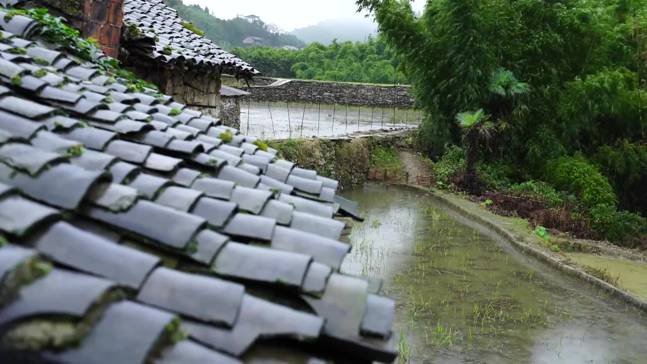 下雨天的农村屋檐视频下载