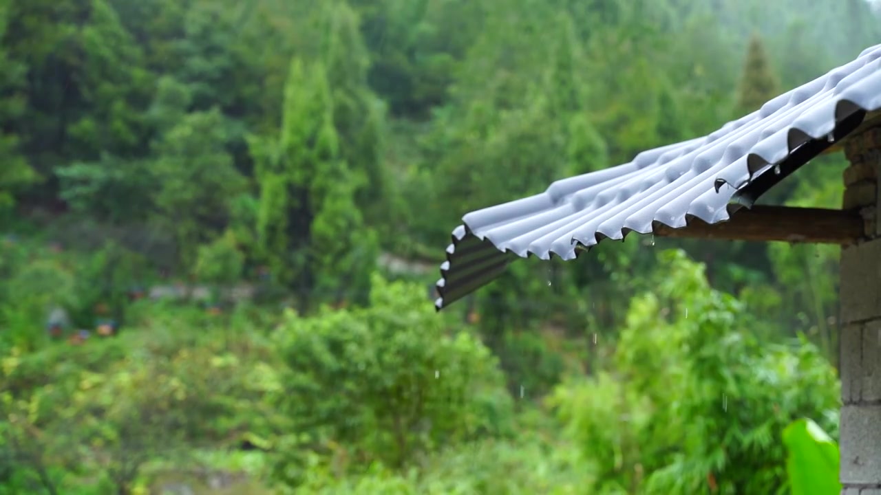 农村下雨天视频素材