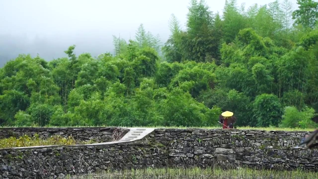 下雨天种田的农民视频下载