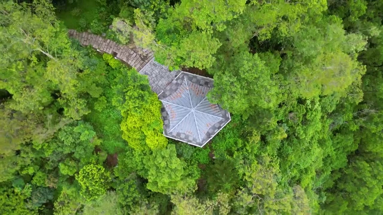 航拍深圳塘朗山公园听涛亭雨后风景视频素材